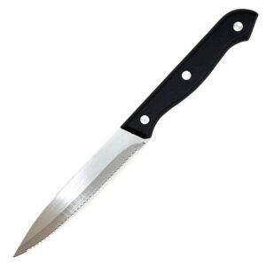Stainless steel serrated knife with plastic handle