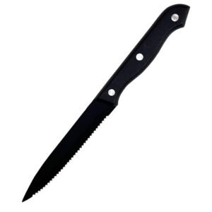 Stainless steel serrated knife with plastic handle