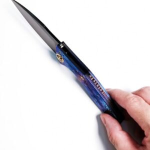 Crater Sanding DLC M390 Titanium Handle SF Folding Knife