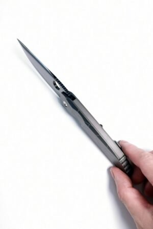 Spider C199 M390 Mirror DLC Blade Titanium Handle SF Express