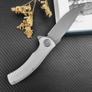 E295 Card Show 3490% Off Folding Knife