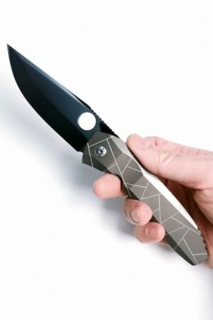 Spider C199 M390 Mirror DLC Blade Titanium Handle SF Express